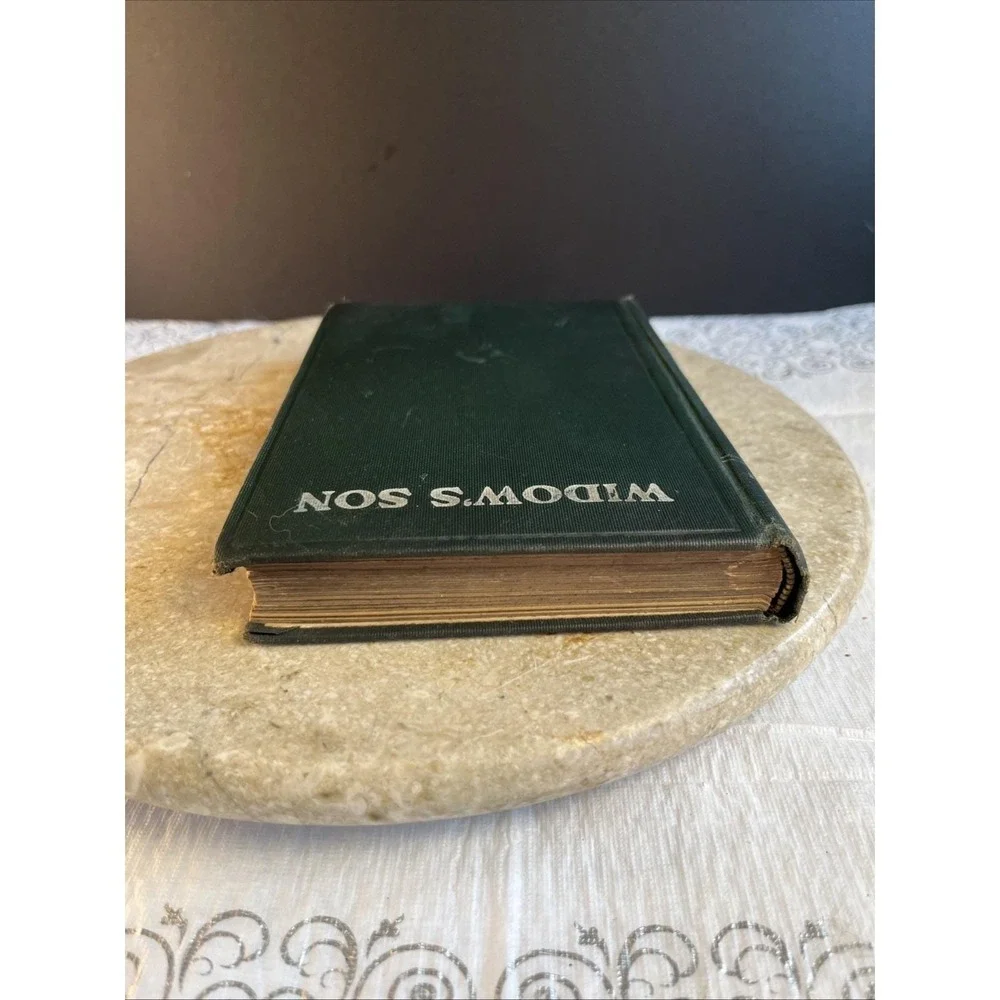 Early 1900's Copy Widow's Son by Mrs. E D E N Southworth Good Condition